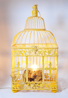 Birdcage Lamp